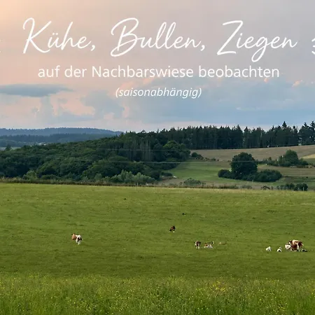 Holiday home Ebenerdiges Ferienhaus Auf 24000 Qm Mit Sauna, Weitblick & Terrassen - Naturzentral