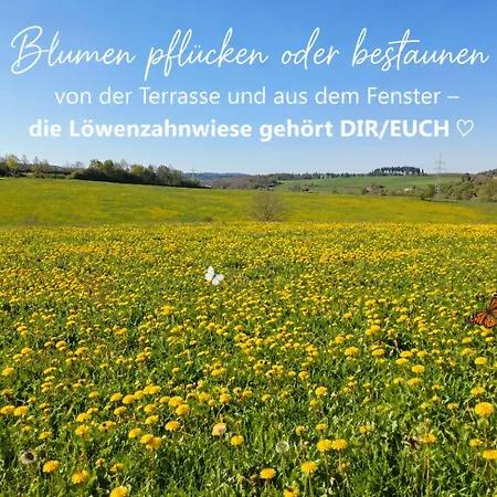 Homestay Ebenerdiges Ferienhaus Auf 24000 Qm Mit Sauna, Weitblick & Terrassen - Naturzentral Frankenberg an der Eder