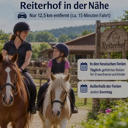 Ebenerdiges Ferienhaus Fuer Rueckzug Und Auszeit Mit Sauna, Weitblick, Terrassen, Privatsphaere Auf 20000 Qm Naturzentral * فرانكينبرغ