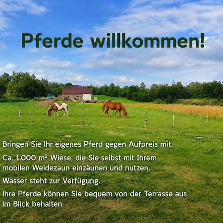 Ebenerdiges Auf 24000 Qm Mit Sauna, Weitblick & Terrassen - Naturzentral